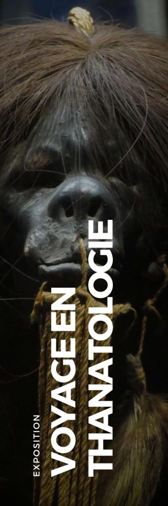 Collection novembre 2022 - VOYAGE EN THANATOLOGIE