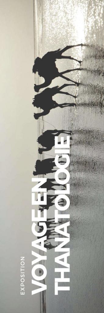 Collection novembre 2022 - VOYAGE EN THANATOLOGIE