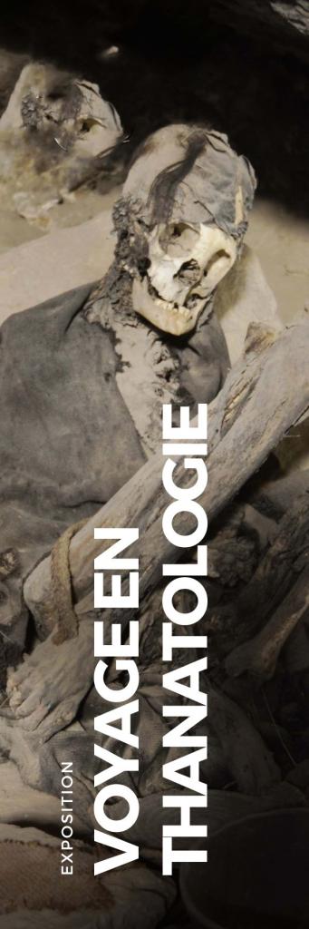 Collection novembre 2022 - VOYAGE EN THANATOLOGIE