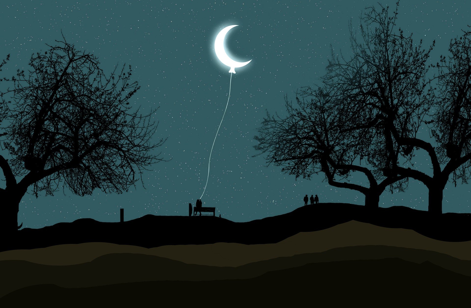 image de nuit