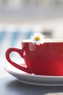 tasse de café avec paquerette