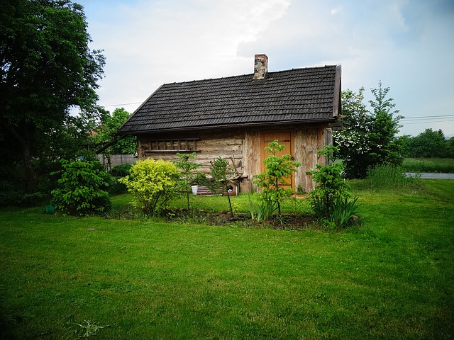 maison en bois