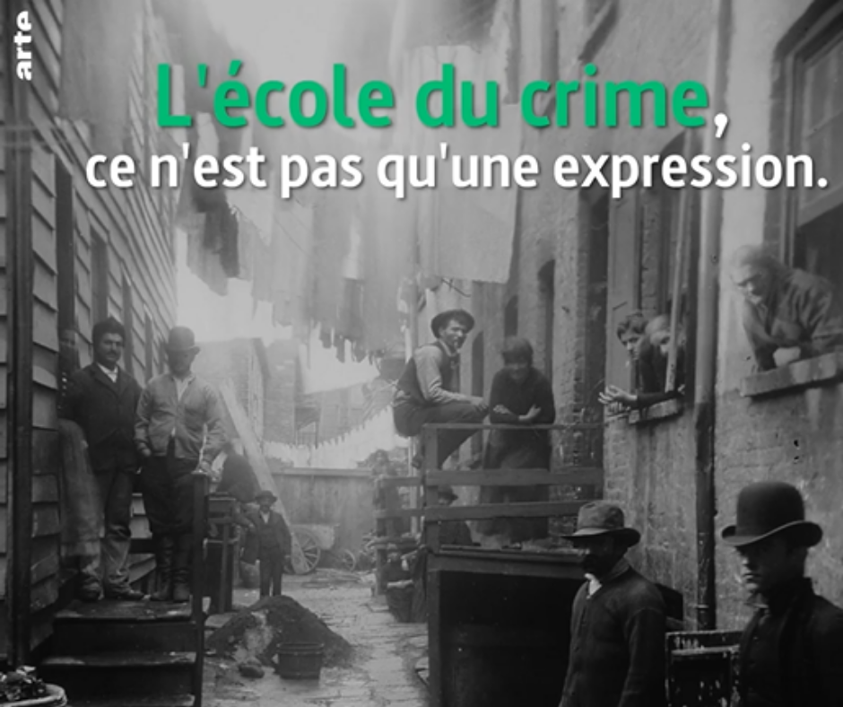 L'école du crime [Extrait] ARTE